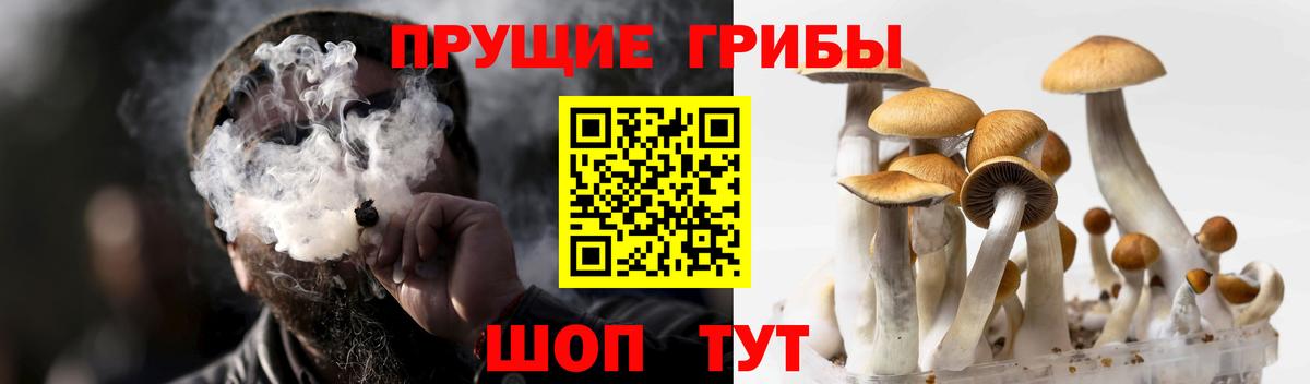 Галлюциногенные грибы мицелий Клинцы